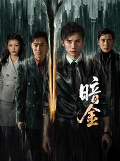 免费在线观看完整版大陆剧《暗金》