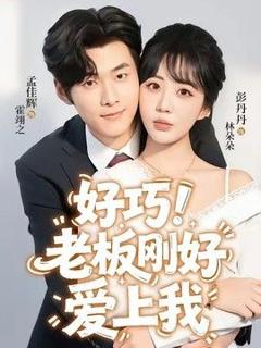 免费在线观看《老板刚好爱上我》