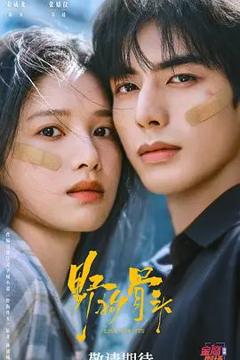 免费在线观看完整版大陆剧《野狗骨头》