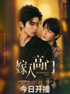 免费在线观看完整版大陆剧《嫁入高门》