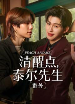 清醒点 泰尔先生番外篇