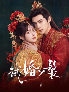 免费在线观看完整版大陆剧《试婚丫鬟(2026)》