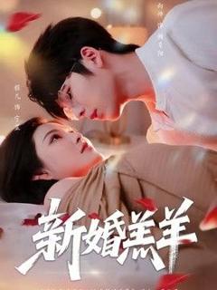 免费在线观看《新婚羔羊》