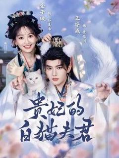 免费在线观看《贵妃的白猫夫君》