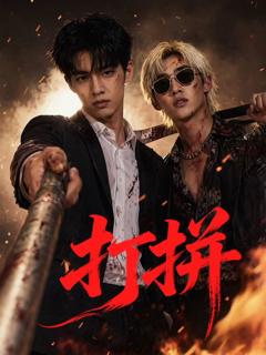 免费在线观看完整版大陆剧《打拼》