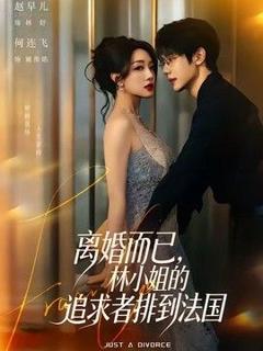 免费在线观看《离婚而已，林小姐的追求者排到法国》