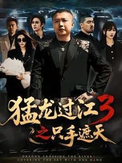 免费在线观看《猛龙过江3之只手遮天》