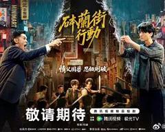 免费在线观看完整版大陆剧《砵兰街行动》