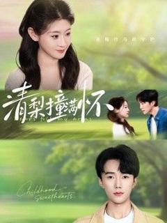免费在线观看《清梨撞满怀》