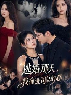 免费在线观看《逃婚那天，我撞进司总的心》