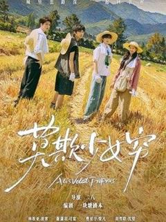 免费在线观看《莫欺少女穷（谁都别想拦着我发财）》