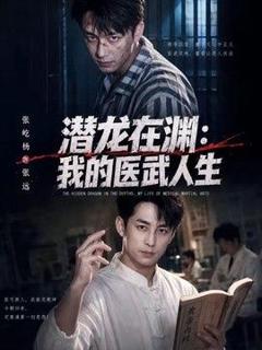 免费在线观看《潜龙在渊，我的医武人生》
