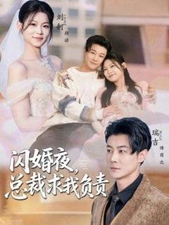 免费在线观看《闪婚夜，总裁求我负责》