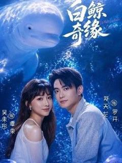 免费在线观看《白鲸奇缘》