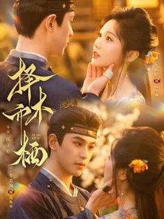 免费在线观看《择木而栖》