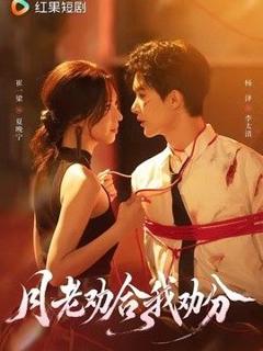 免费在线观看《月老劝合我劝分》