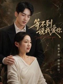 免费在线观看《等不到说我爱你》
