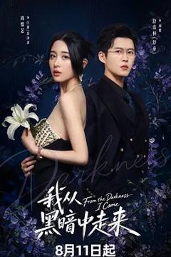 免费在线观看完整版大陆剧《我从黑暗中走来》
