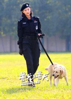 免费在线观看完整版大陆剧《警花与警犬》