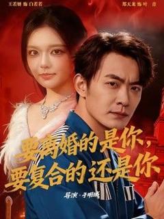免费在线观看《要离婚的是你，要复合的还是你》