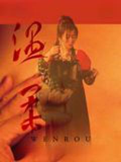 免费在线观看《温柔2026》